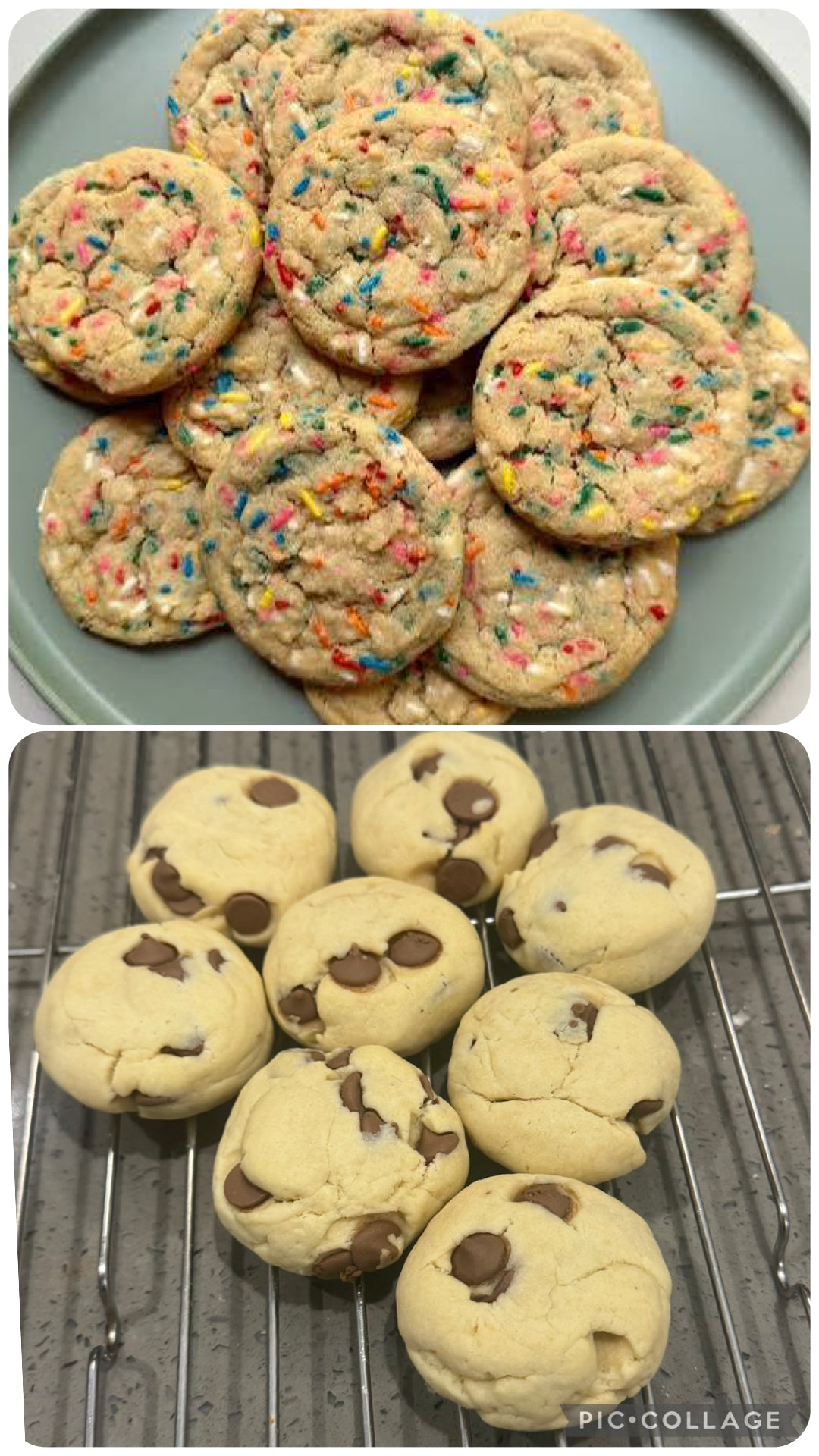 Lunchbox cookies 5 pack